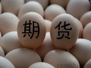 雞蛋期貨品種介紹，雞蛋期貨開戶后交易手續(xù)費是多少錢？